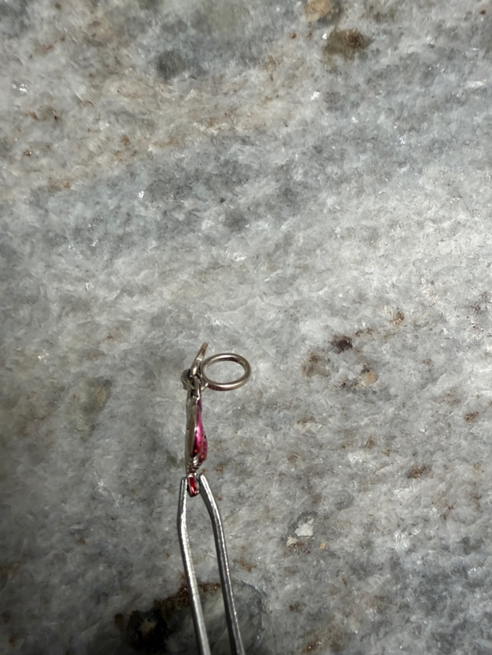 Pandora “You're A Catch” Lobster Charm - Picture 4 of 4